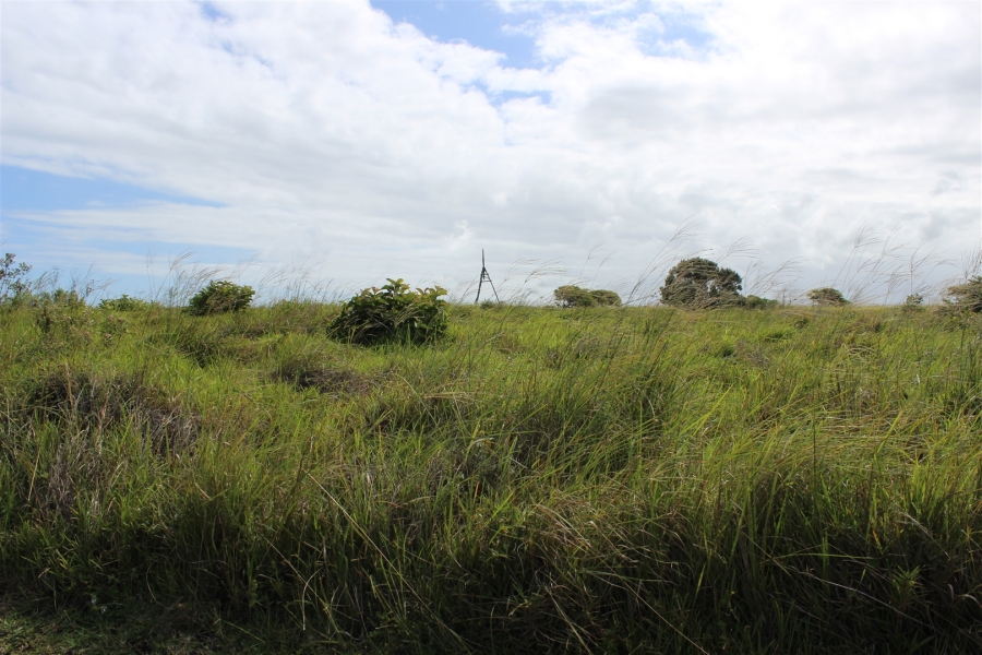 0 Bedroom Property for Sale in Khamanga Bay Eastern Cape